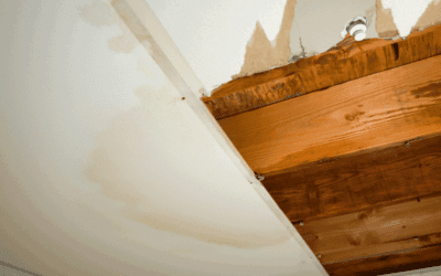 Water and Flood Damage – How Professional Cleanup Helps